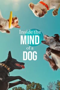 Inside the Mind of a Dog (2024) อ่านใจสุนัข พากย์ไทย