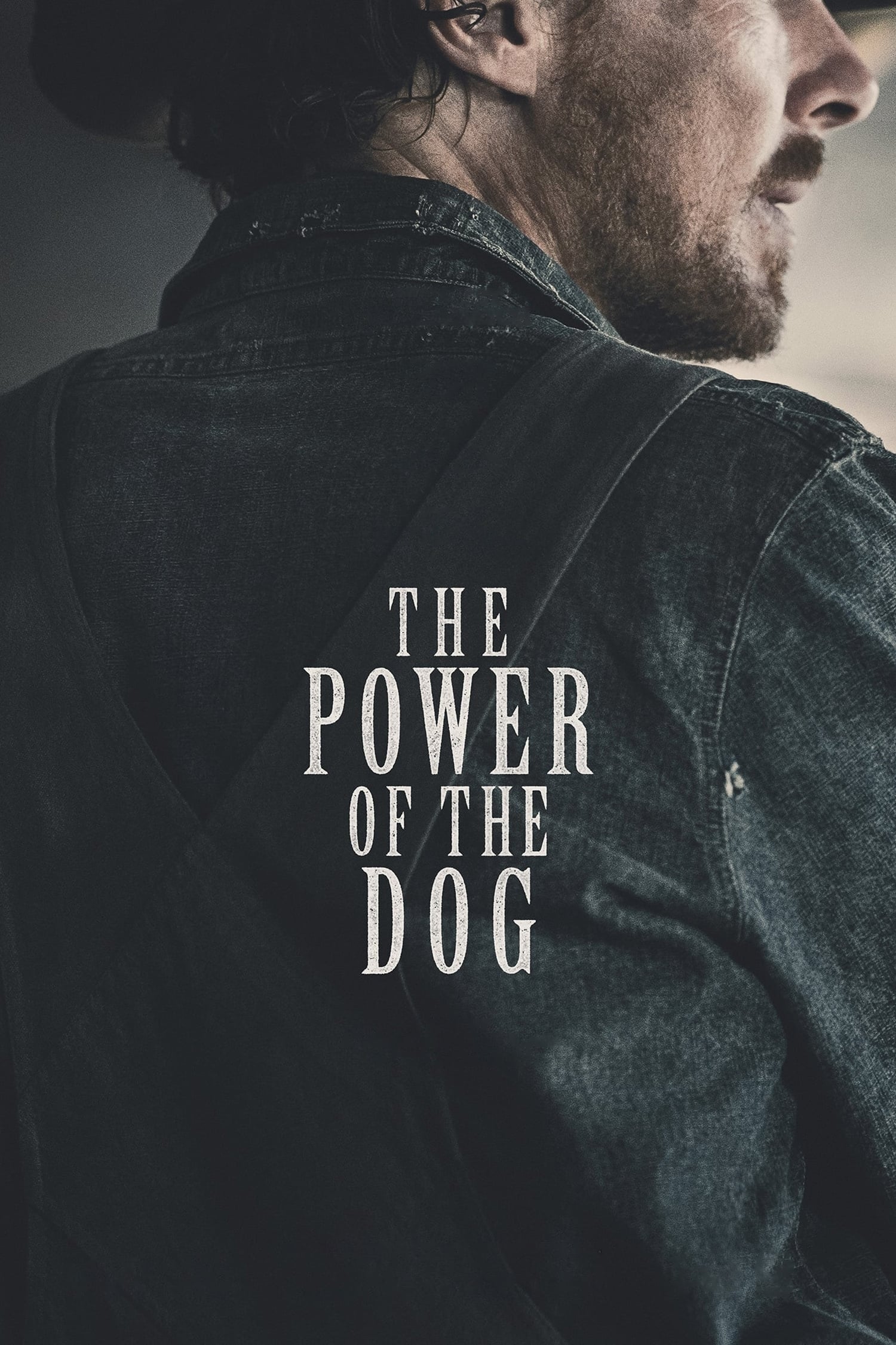 The Power of the Dog อำนาจบาดเลือดแค้น